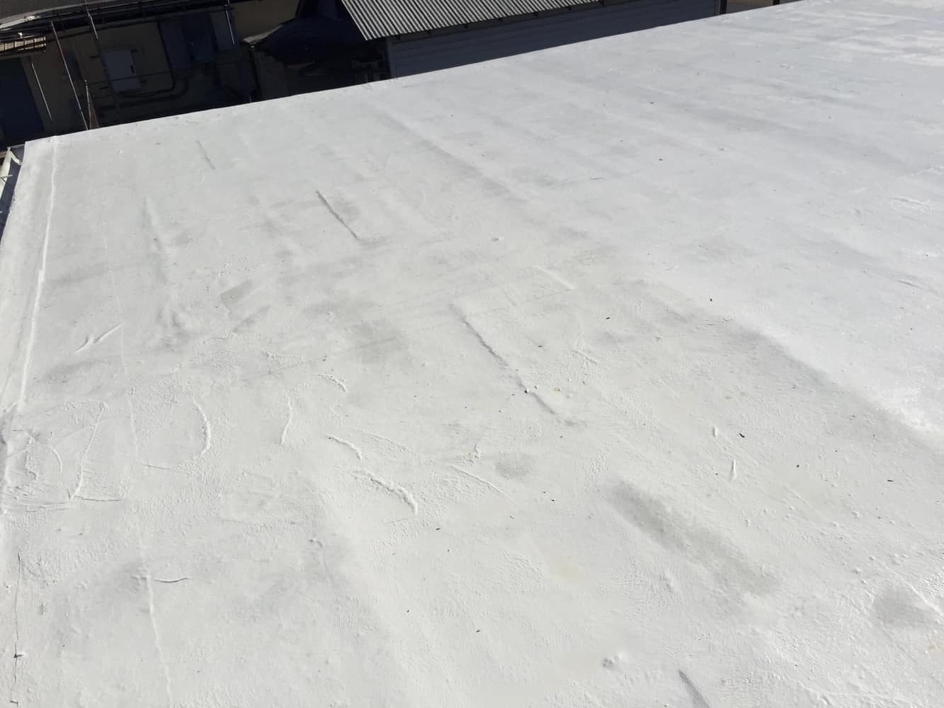 Photos from Michael Ryan