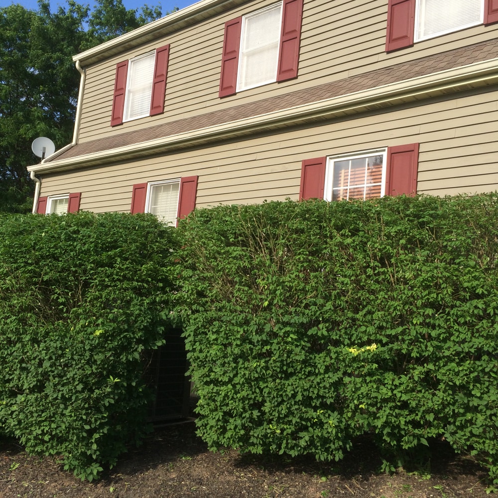 Photos from Superior Land Care Inc