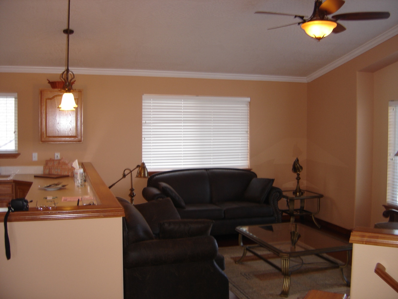 Photos from andy rohan construction