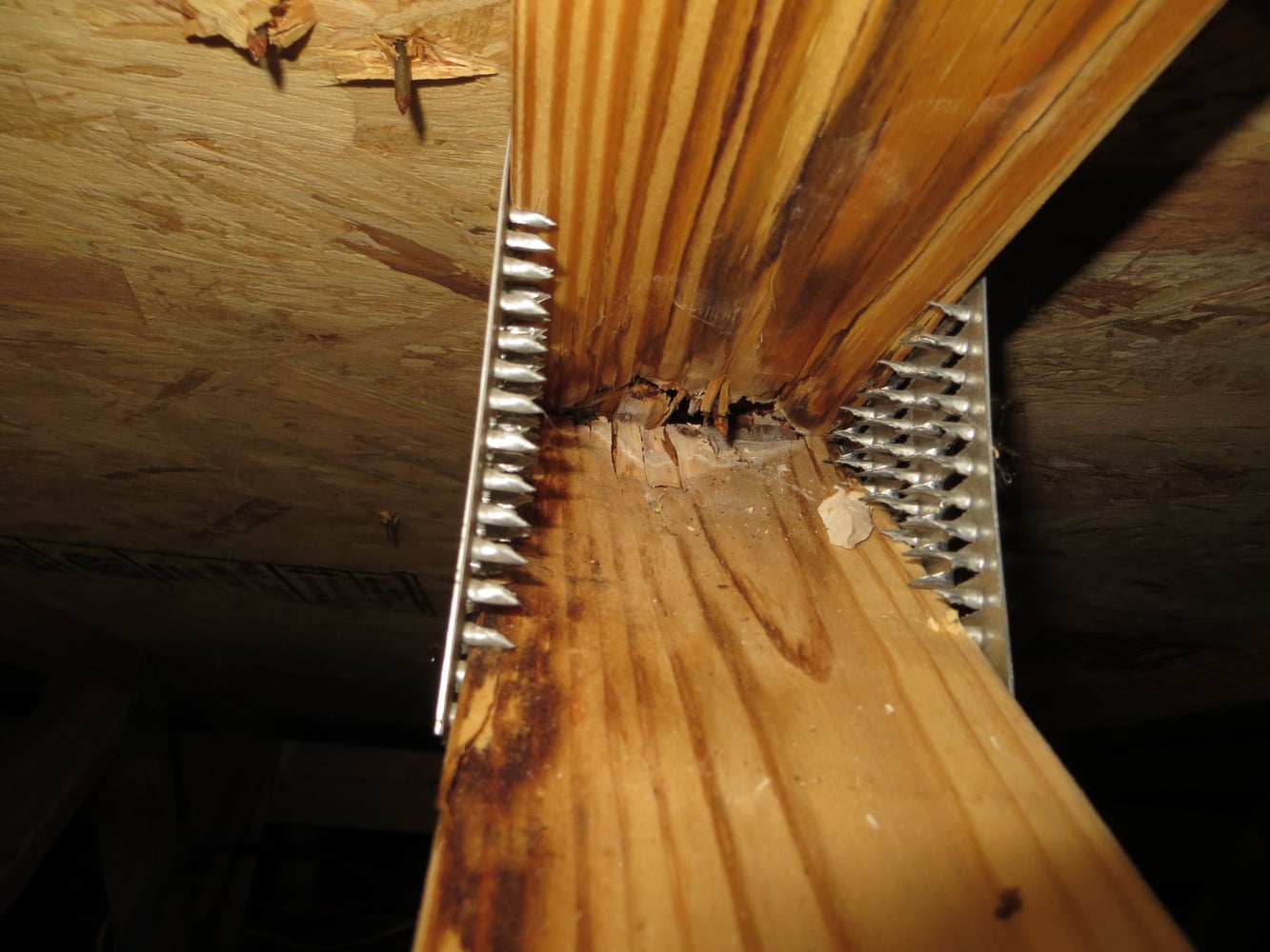 Shower Reconstruction/ Remediation Spring 2016