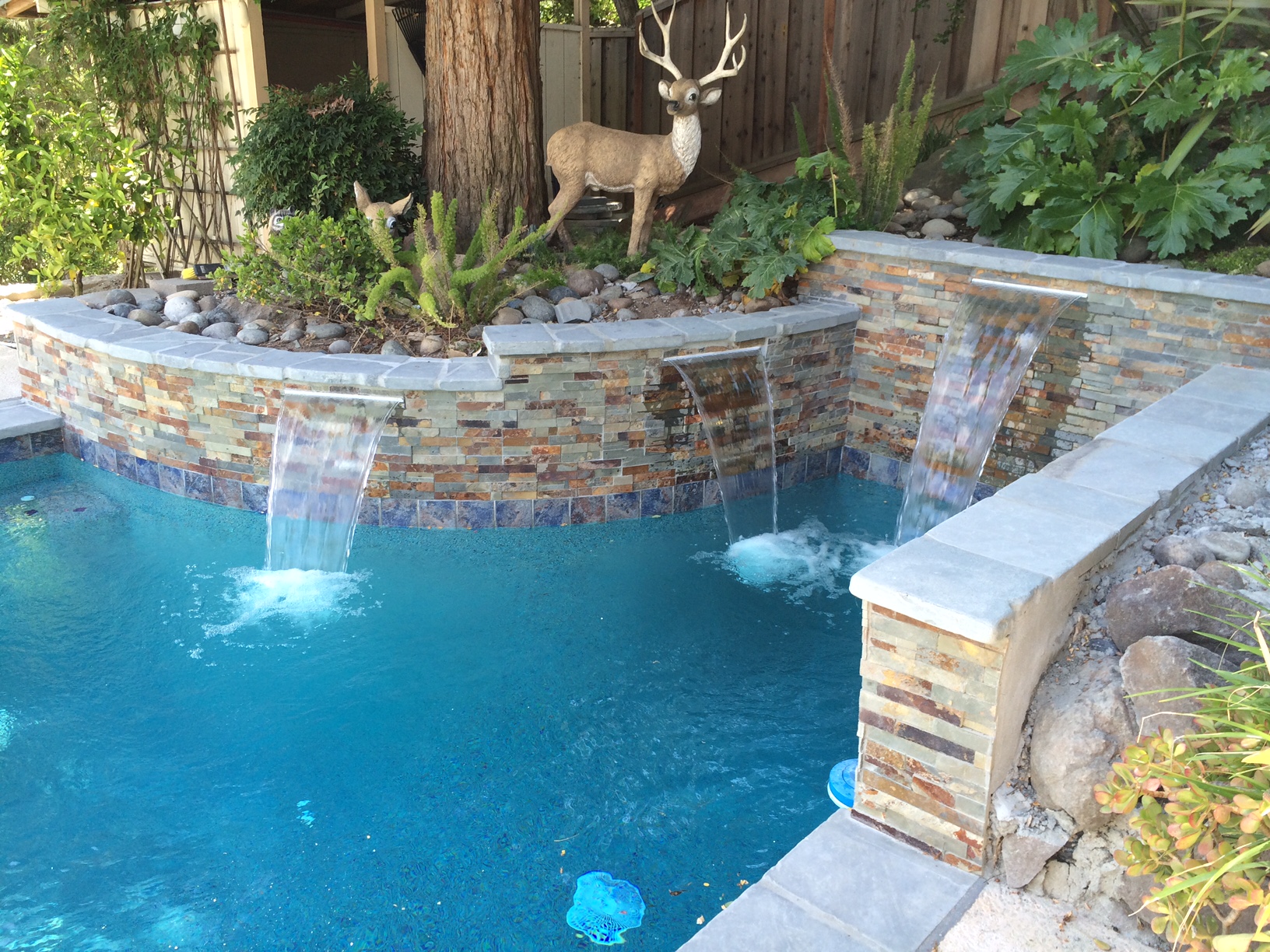 Photos from Quality Pool & Construction Inc.
