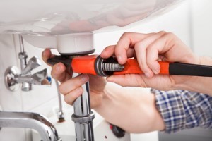 Rhino Rooter Plumbing