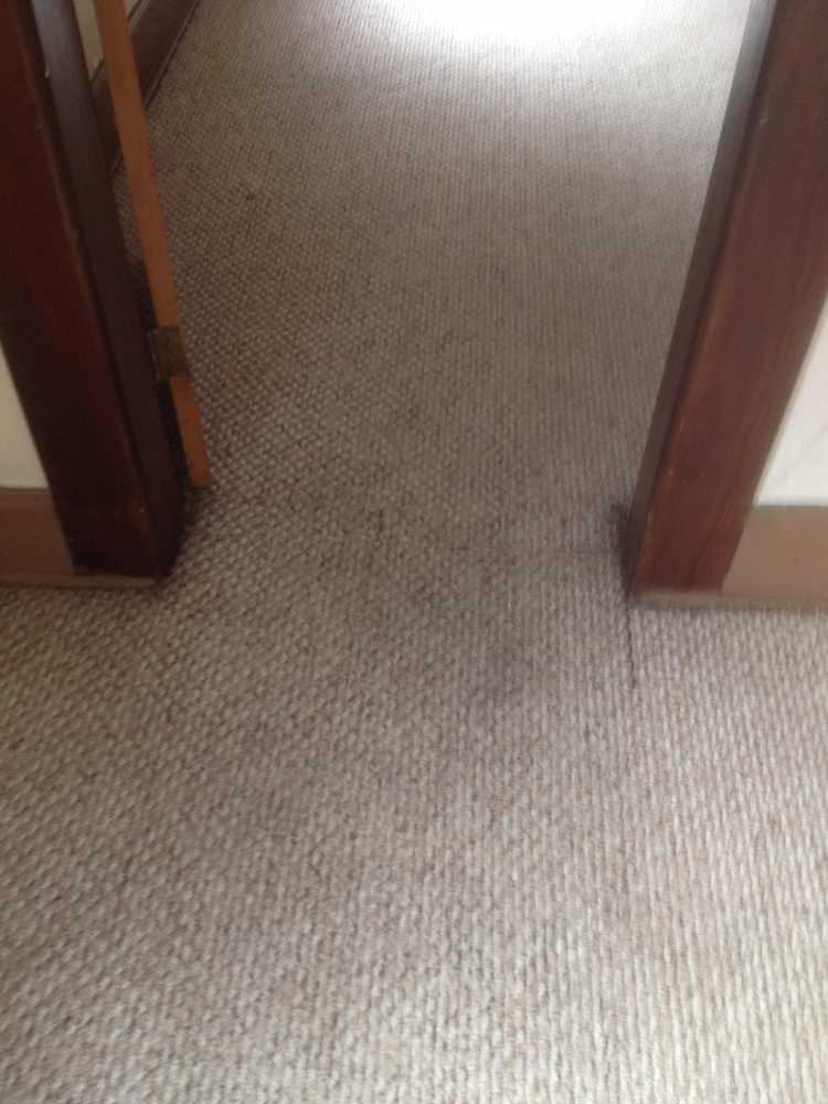 carpet cleaning and repair