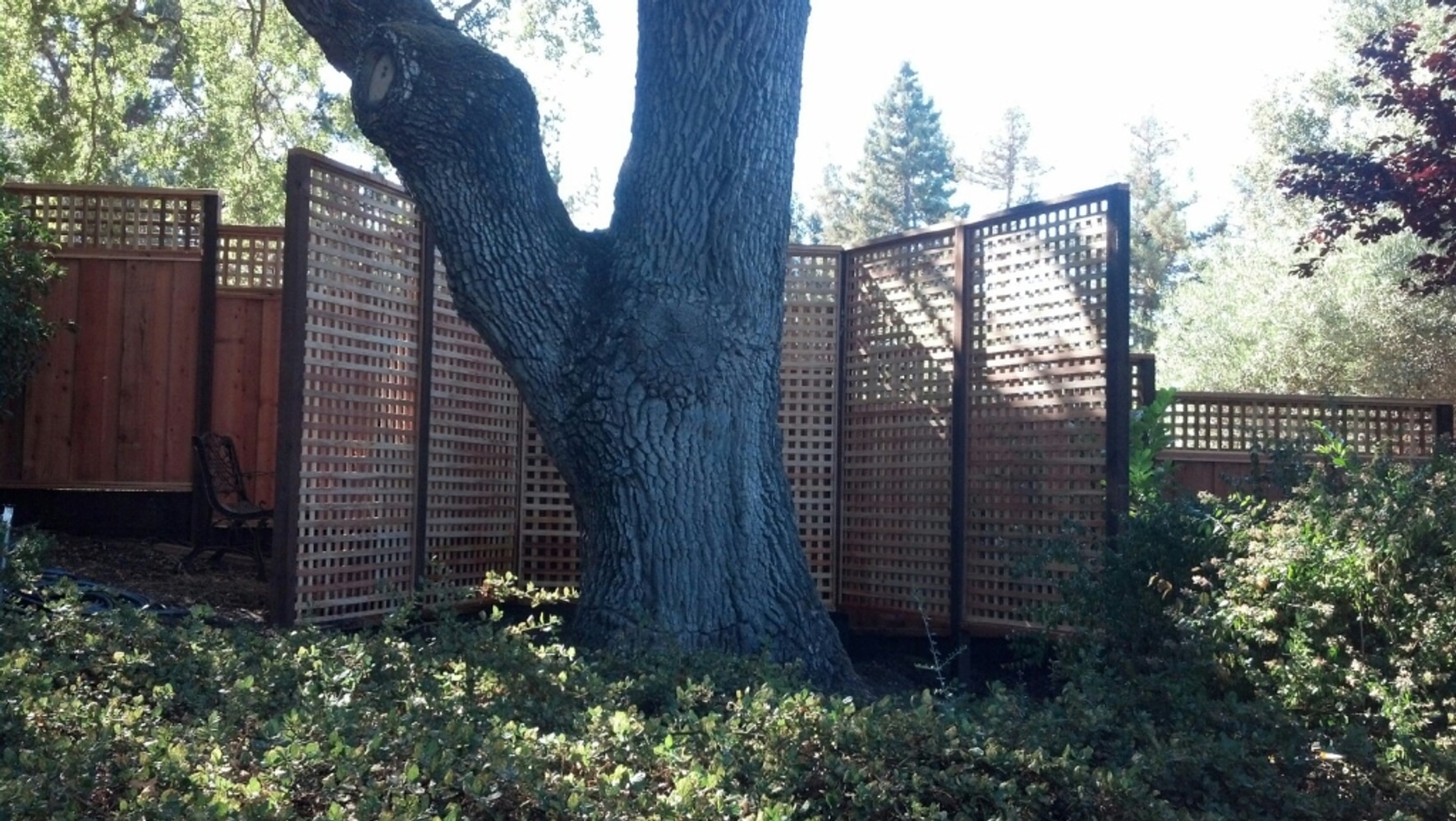 Project photos from Los Gatos Fence Company