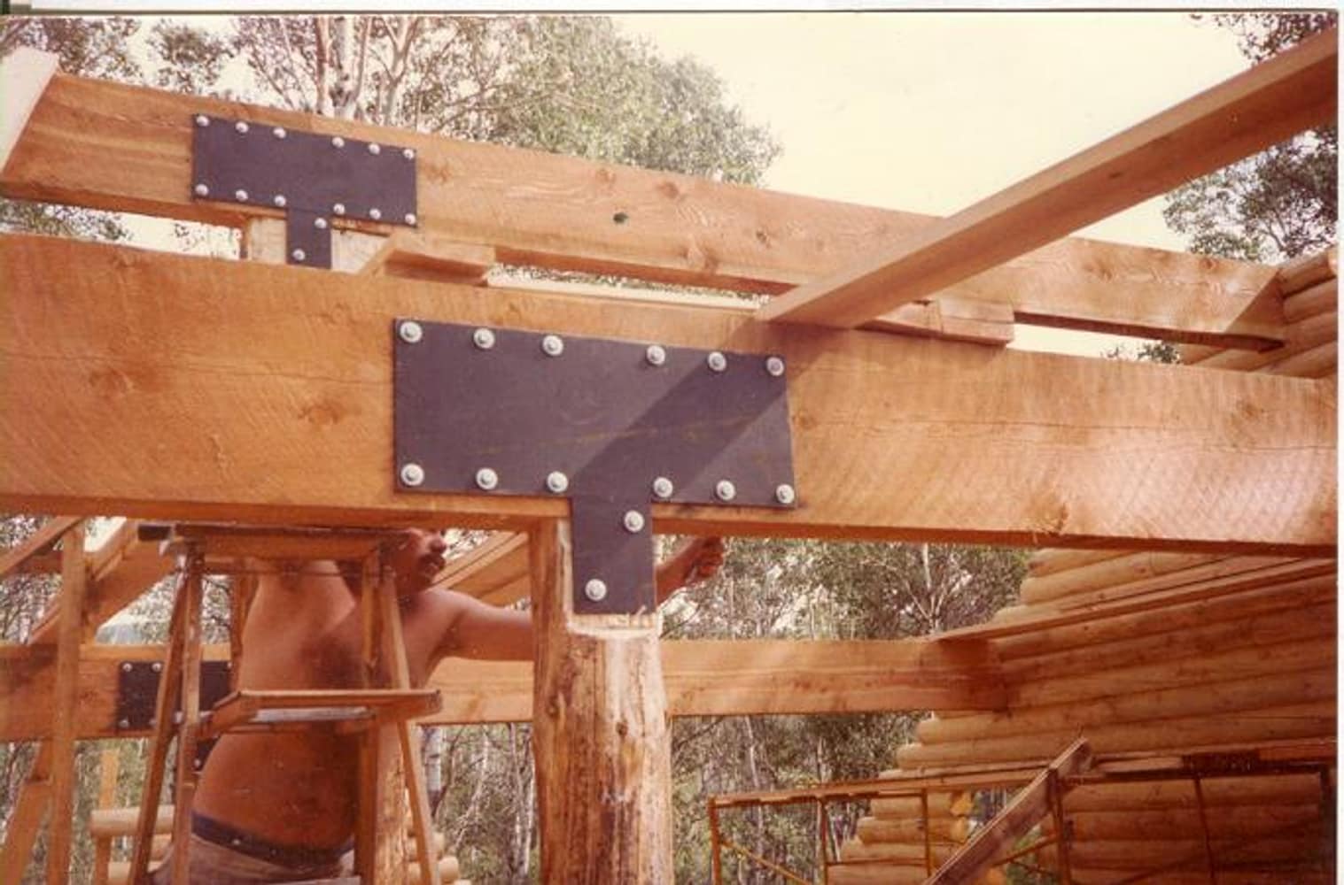 Wilderness Building Systems Project