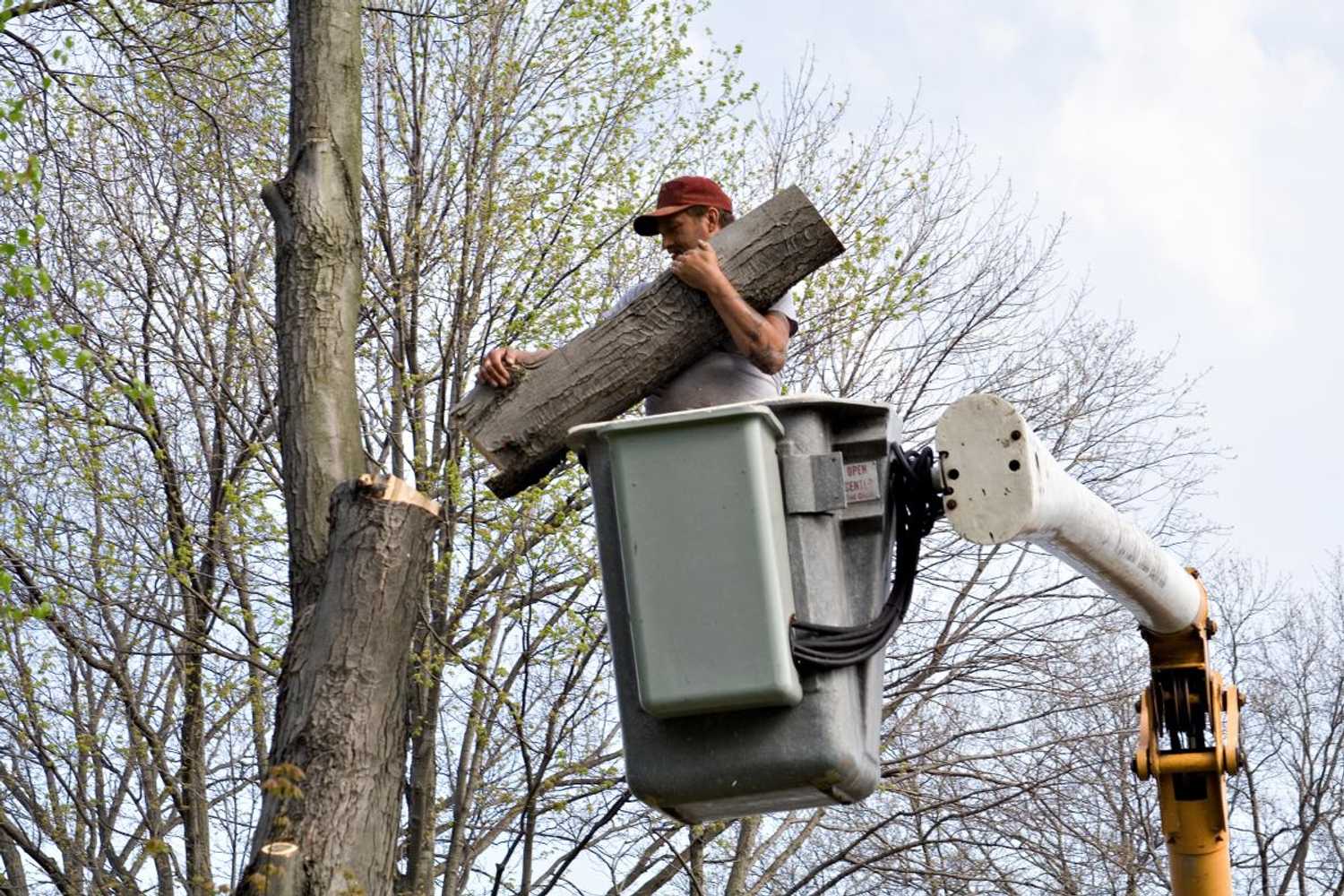 Landers Roofing