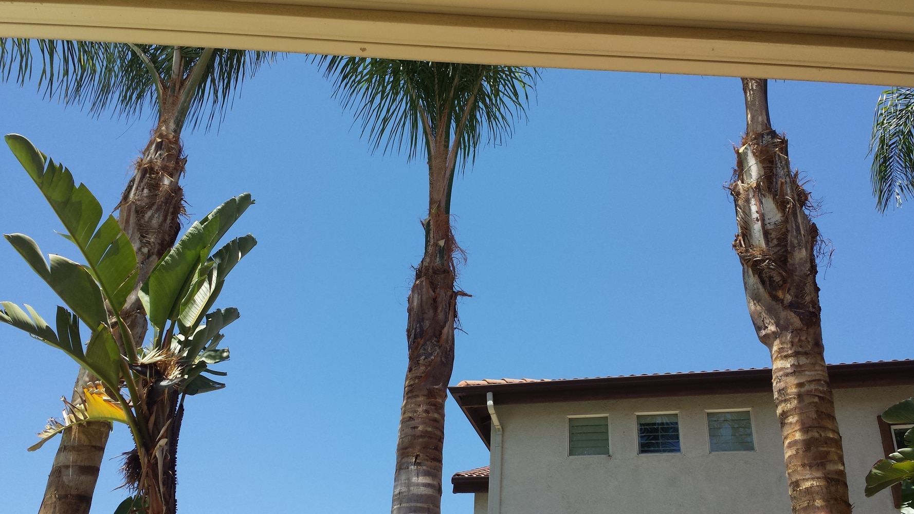 The Complete Yard Service Project