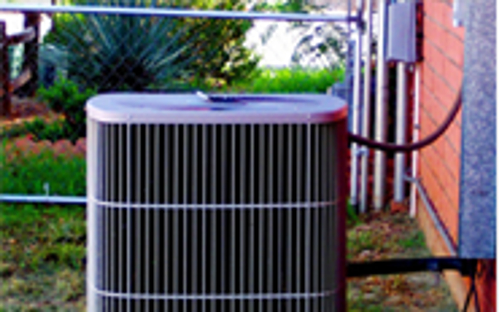 Photo(s) from TEMPERATURE CONTROLLED COMPANY