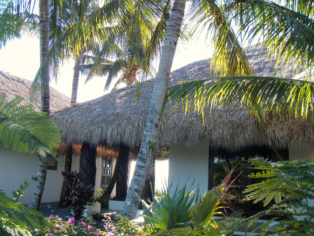 The Tiki Hut Company Portfolio