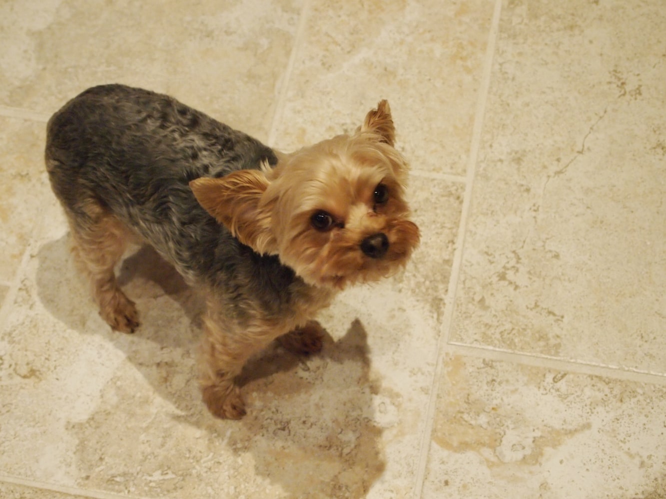 Photo(s) from Legacy Construction Services Groupo