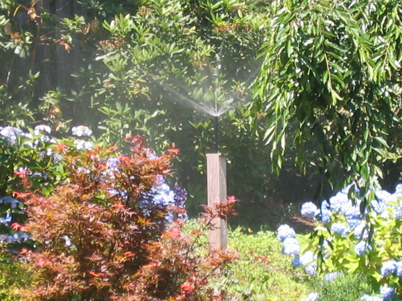 Tb Irrigation Project