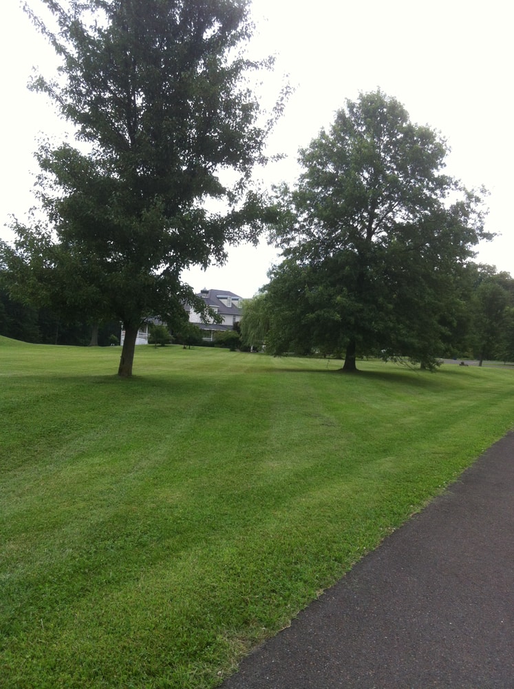 Photos from Superior Land Care Inc