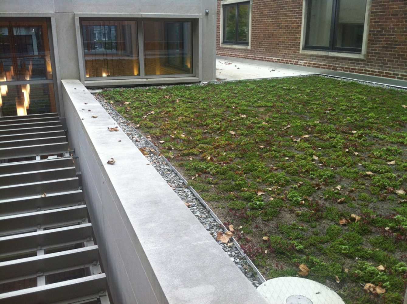 Vegetated Roofs