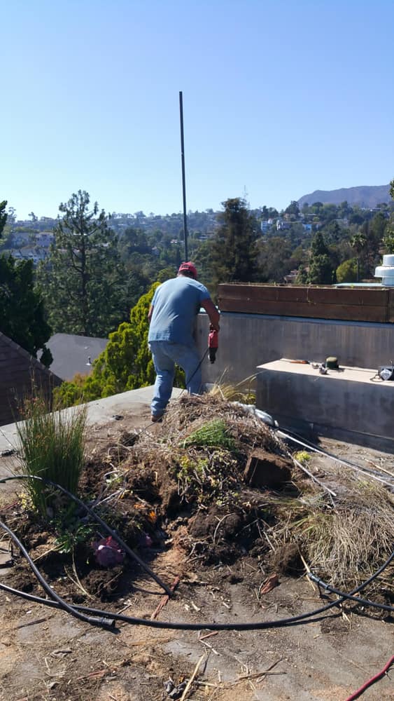 Rooftop Hollywod Hills