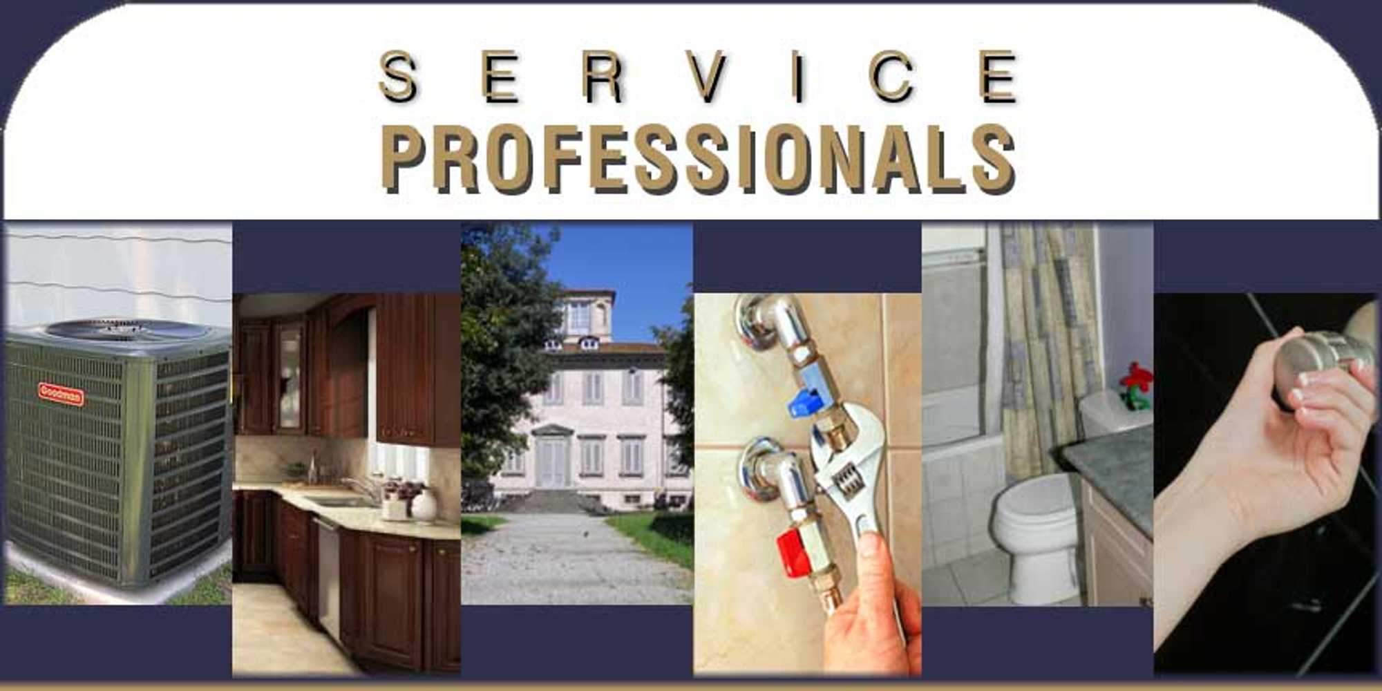 Service Professionals Inc Project