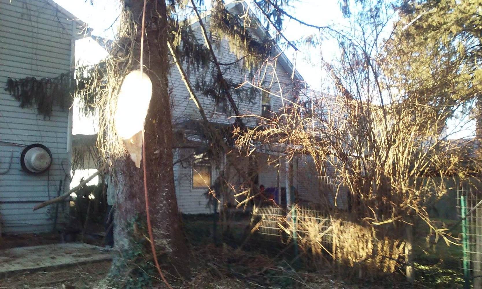 Photo(s) from Anthonys Tree Care