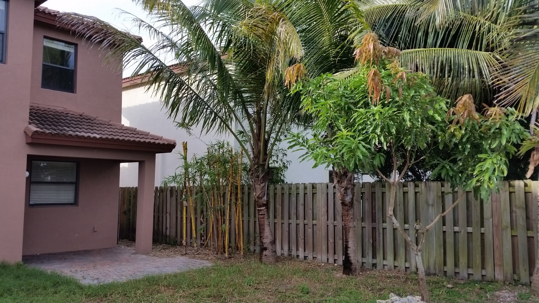 Vineyard Services' projects