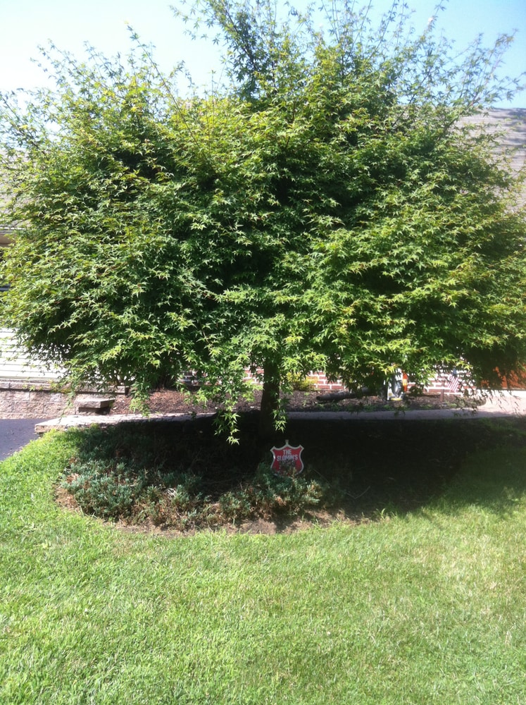 Photos from Superior Land Care Inc