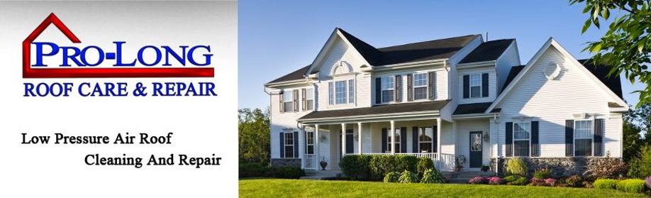 Pro Long Roof Care