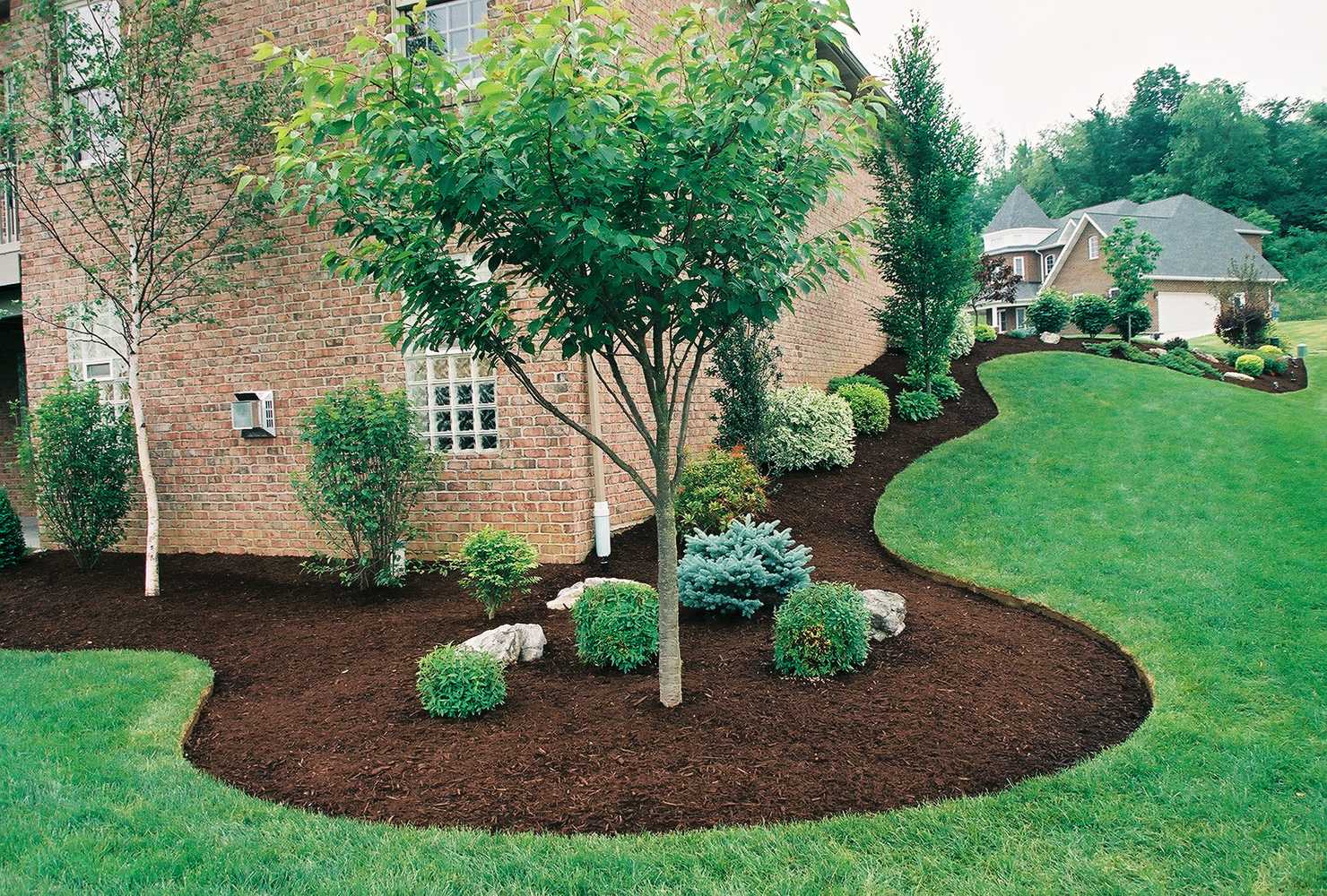 Pro Image Landscaping 