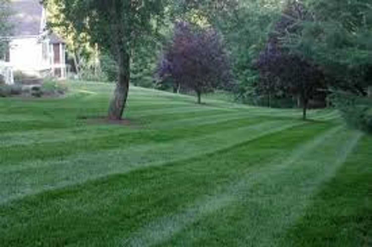 lawncare