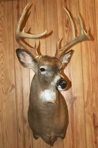 Suchocki Construction & Remodeling