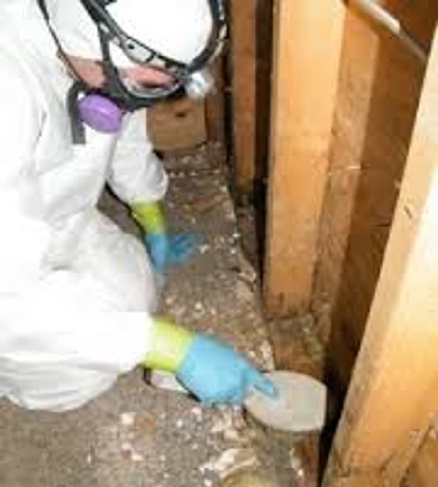 Photo(s) from Restorers.com