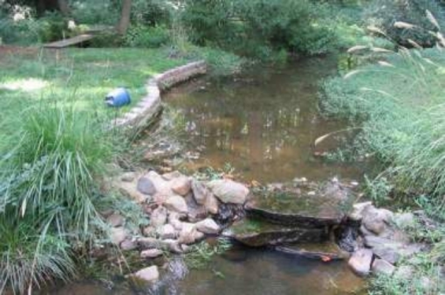 Portfolio of Water Features