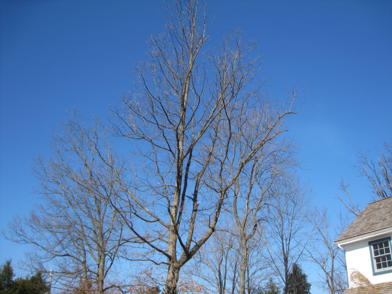 Photos from Savage Landscaping