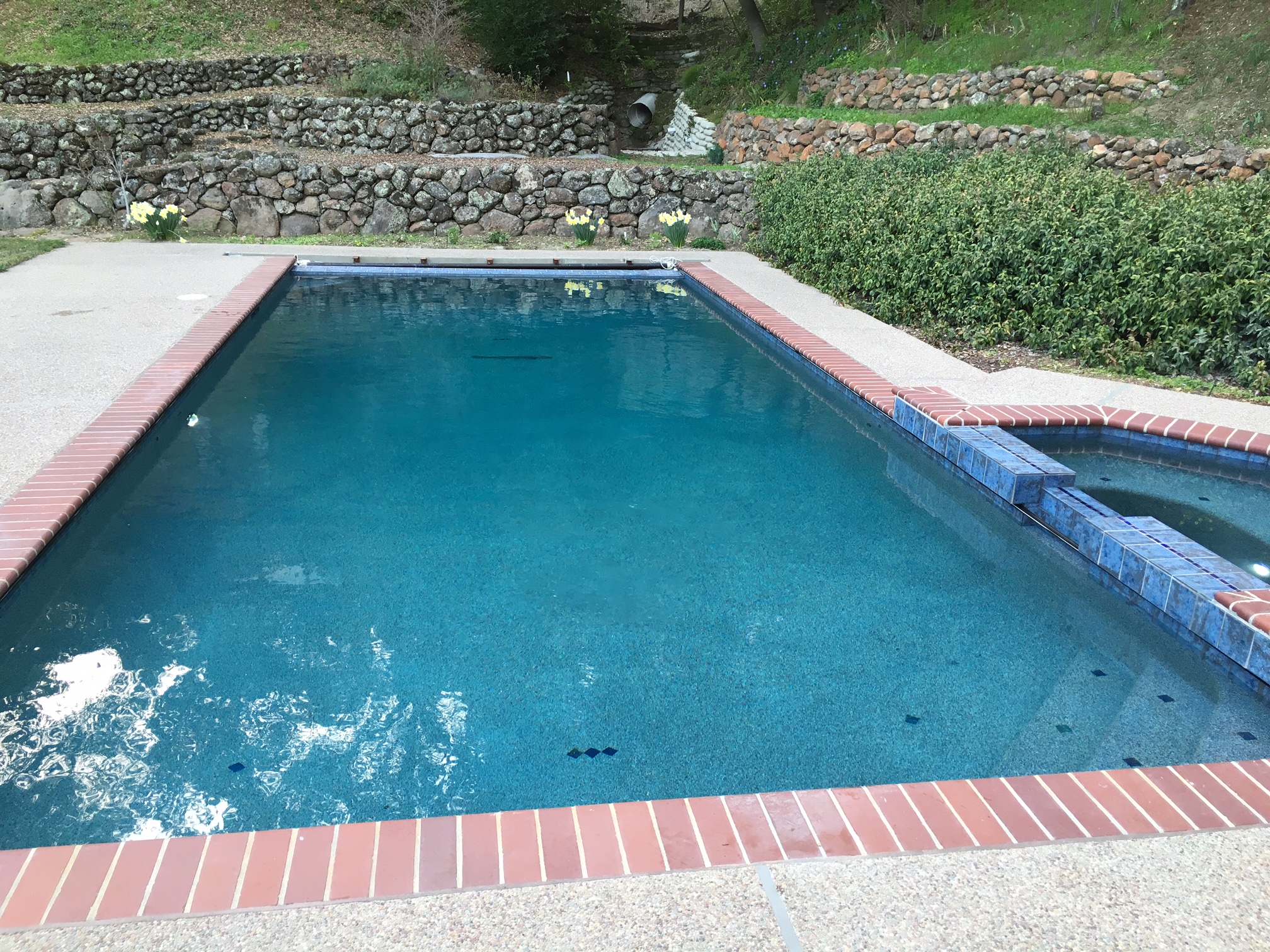 Photos from Quality Pool & Construction Inc.