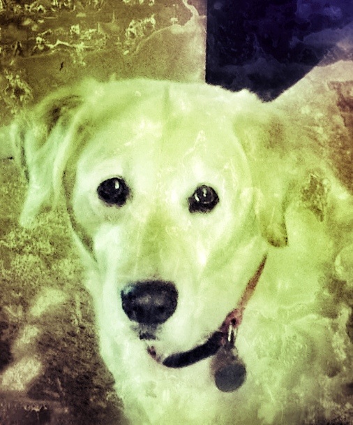 A+ Engineering Construction