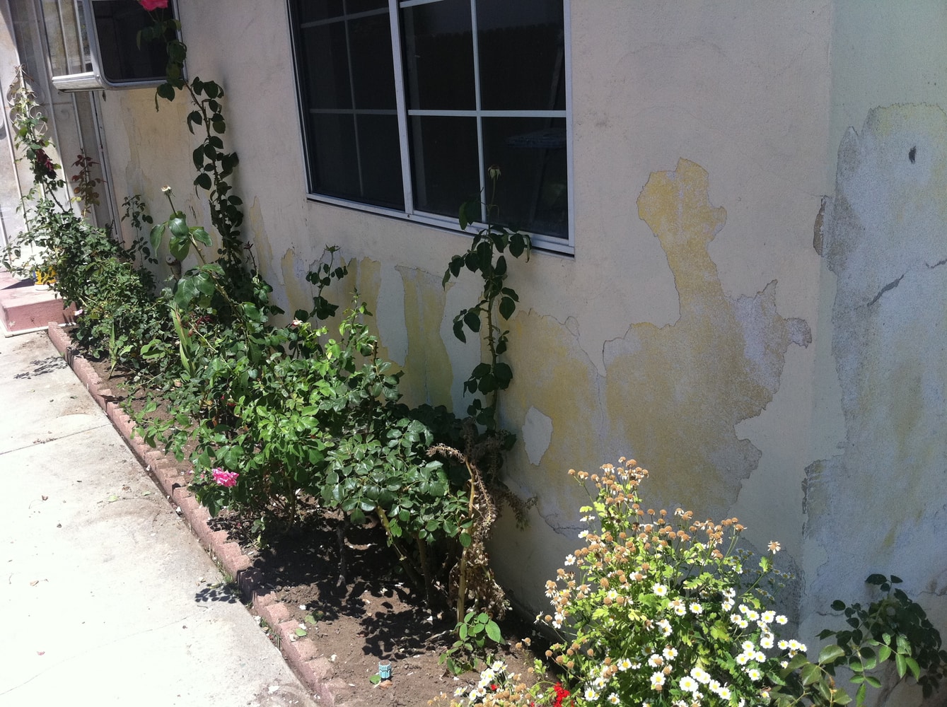 Projects by Affinity Painting Inc.