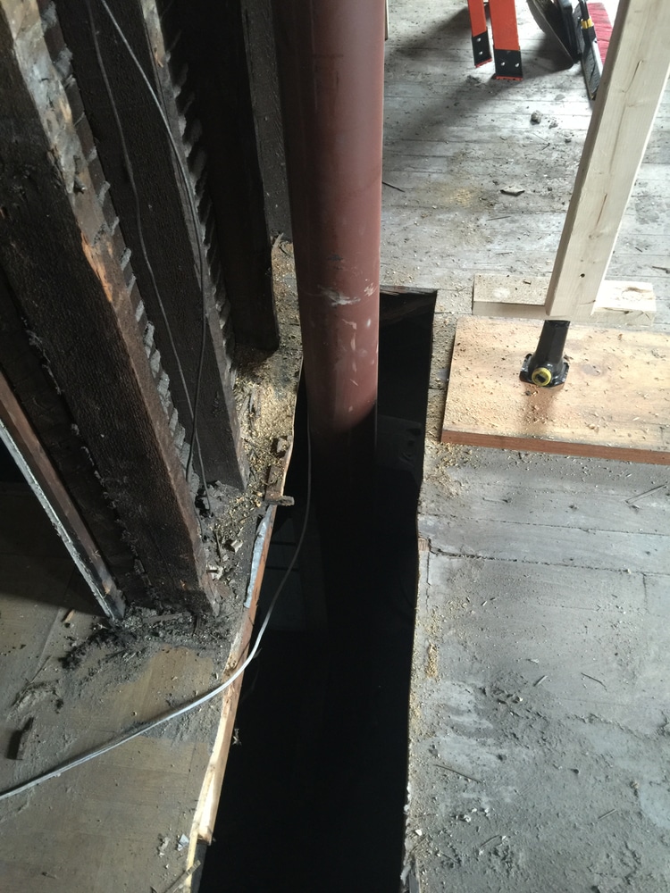 Photos from David Sisko