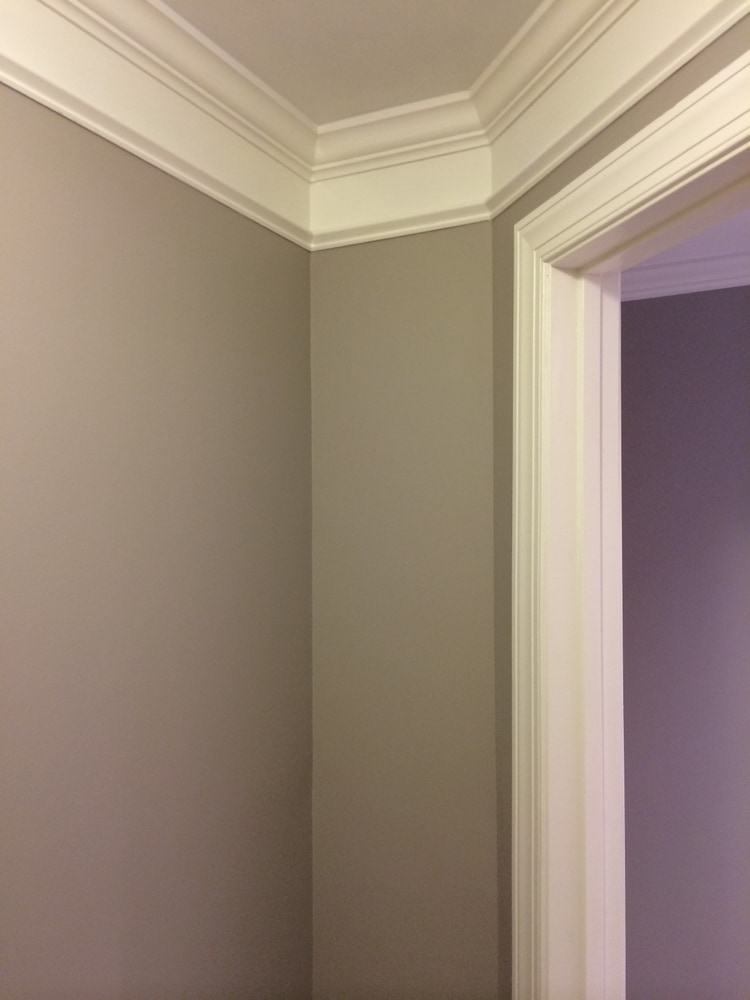 Master bathroom renovation