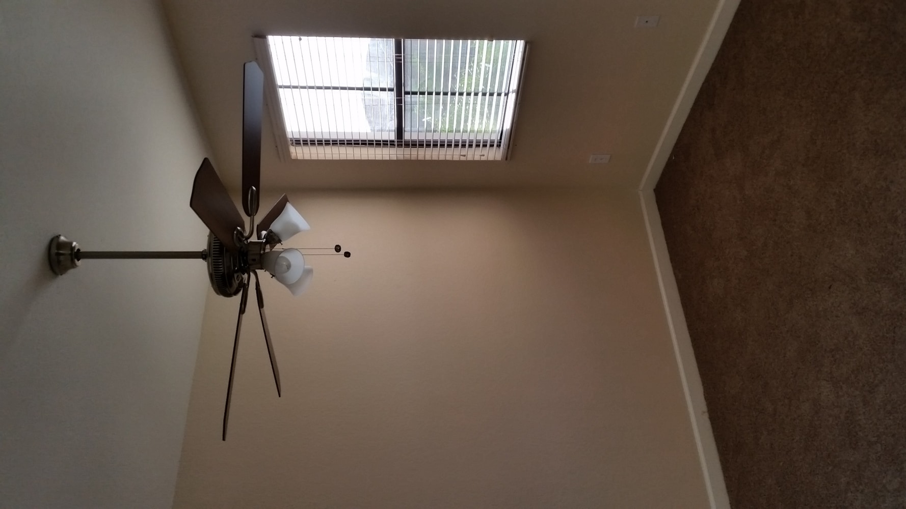 Vineyard Services' projects