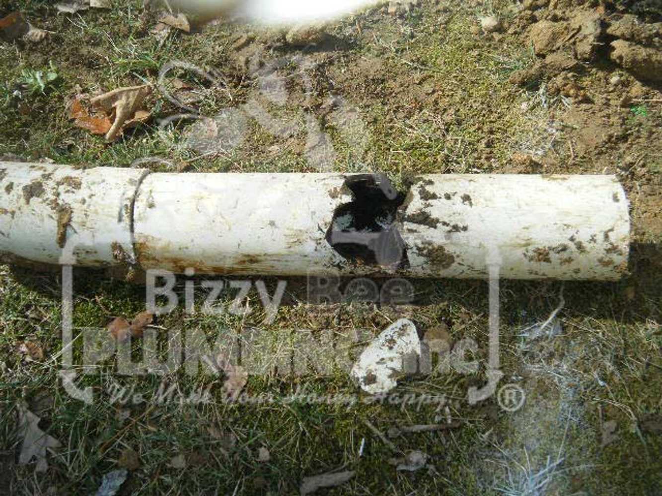 Photos from Bizzy Bee Plumbing, Inc