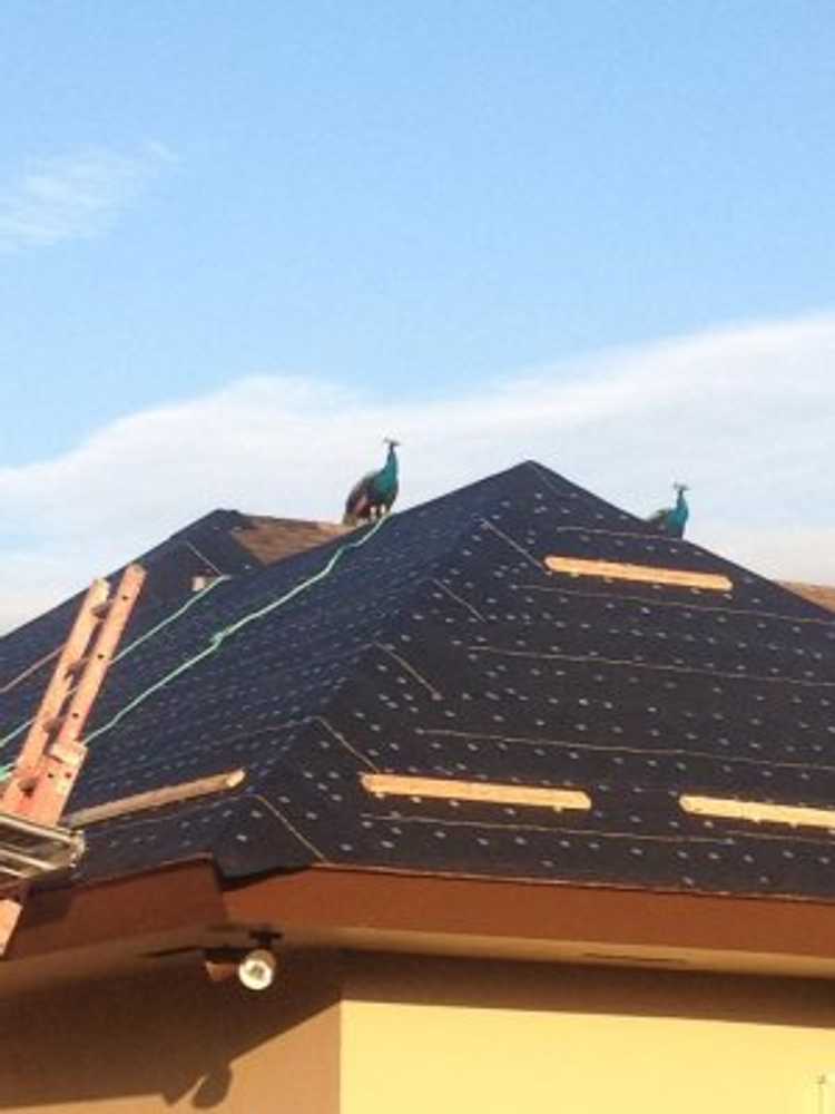 Projects by Istueta Roofing