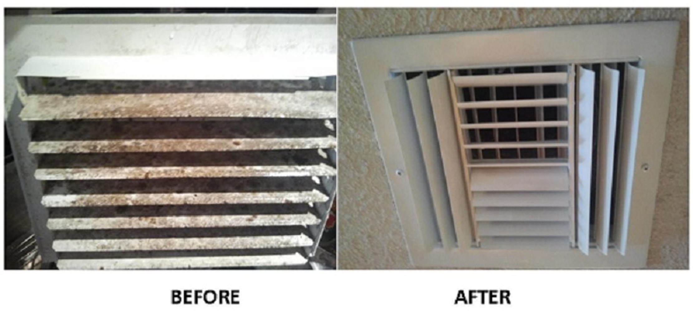 Cooling Fx Inc Project 1