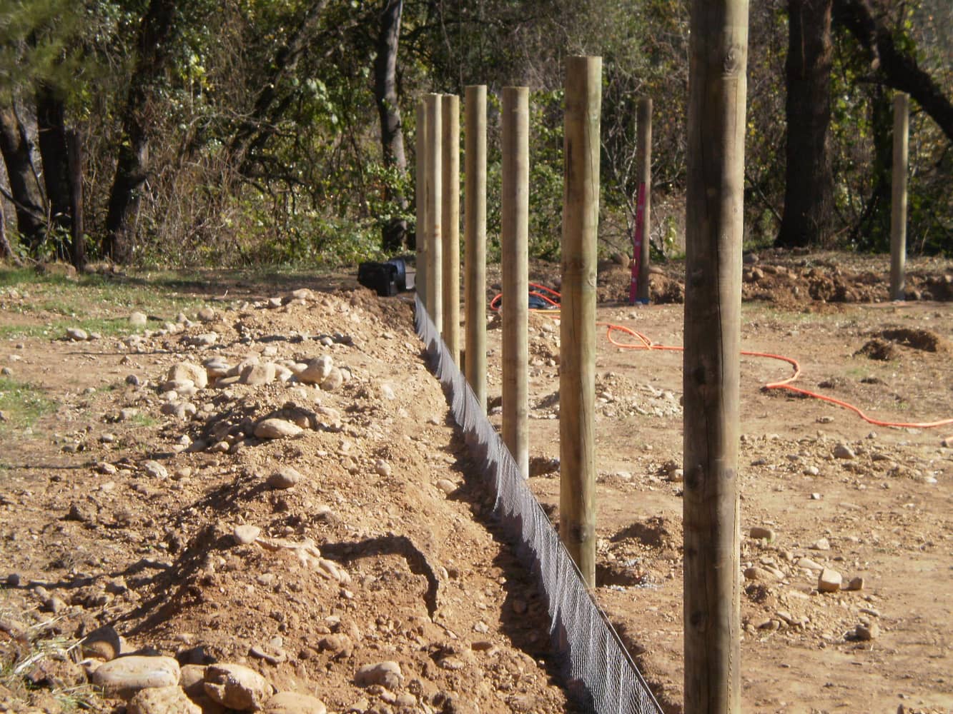 Fence Enclosure for Rescued Cats