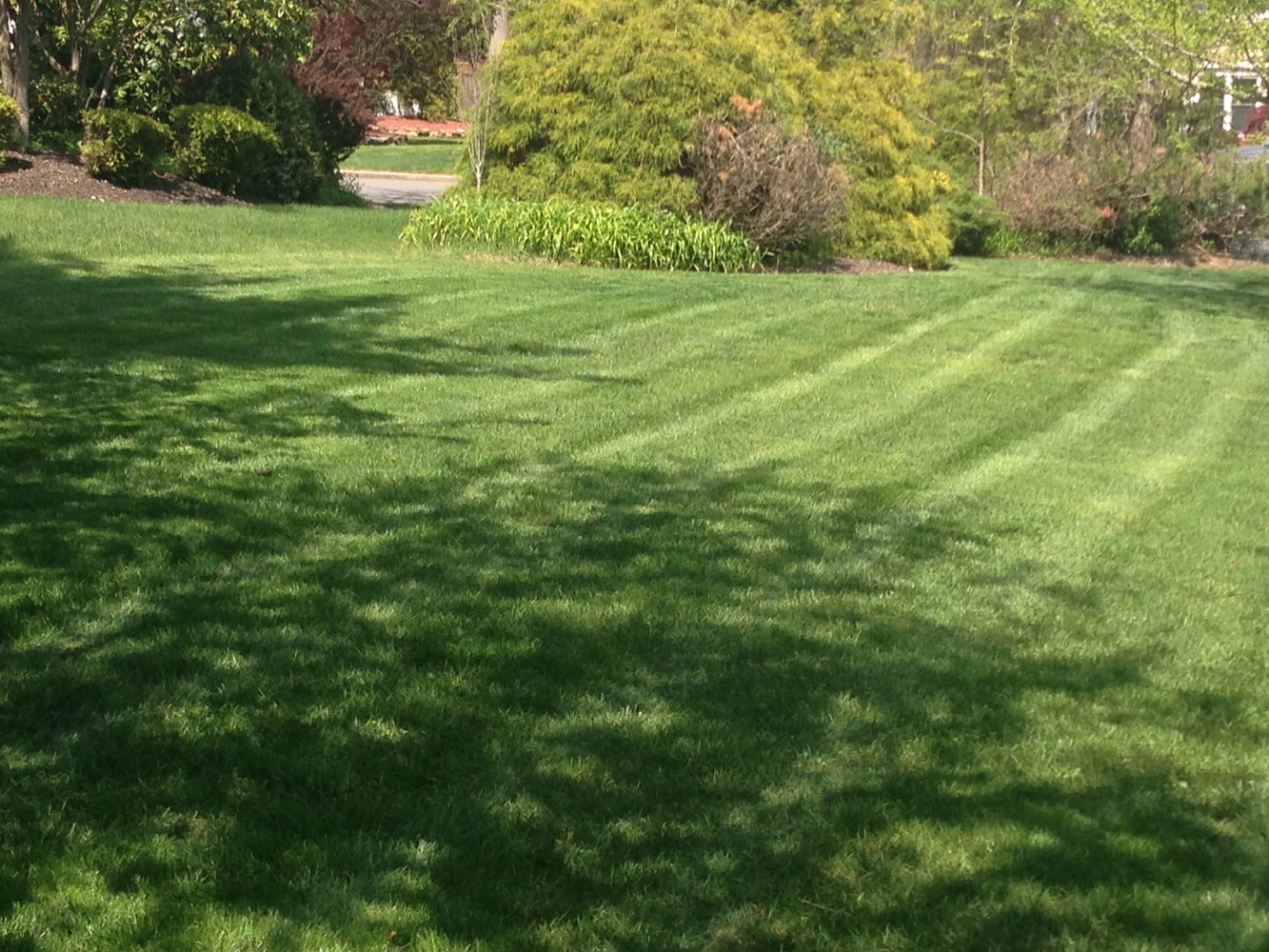 Photo(s) from J Euceda Full Service Landscaping