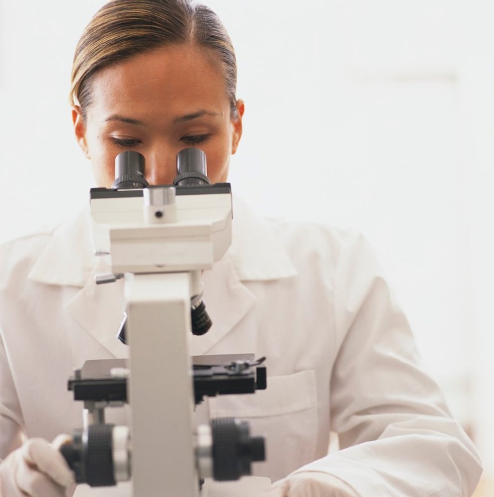 On-the-Spot Mold Services Project