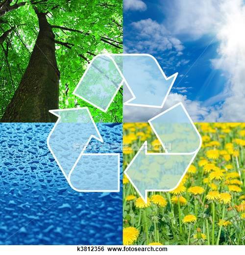 Speedy Removal Service