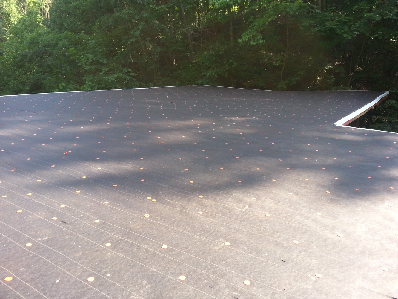 Photo(s) from Amplified Contracting Llc