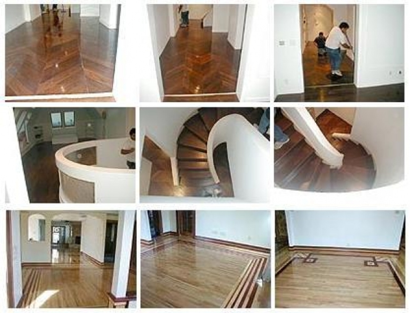 Z Best's Showcase of Unique and Special Projects