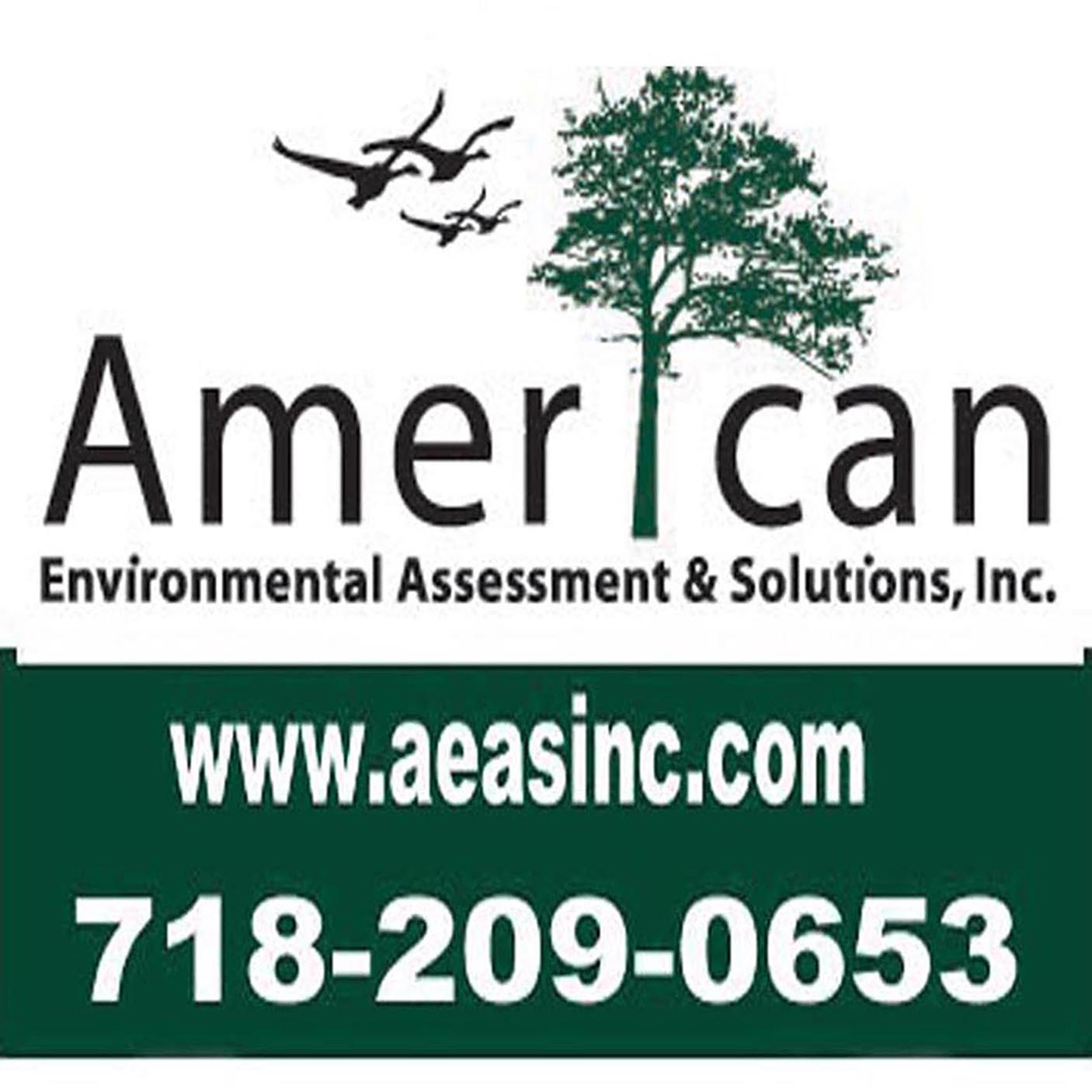 American Environmental Assessment and Solutions Inc
