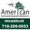 American Environmental Assessment and Solutions Inc