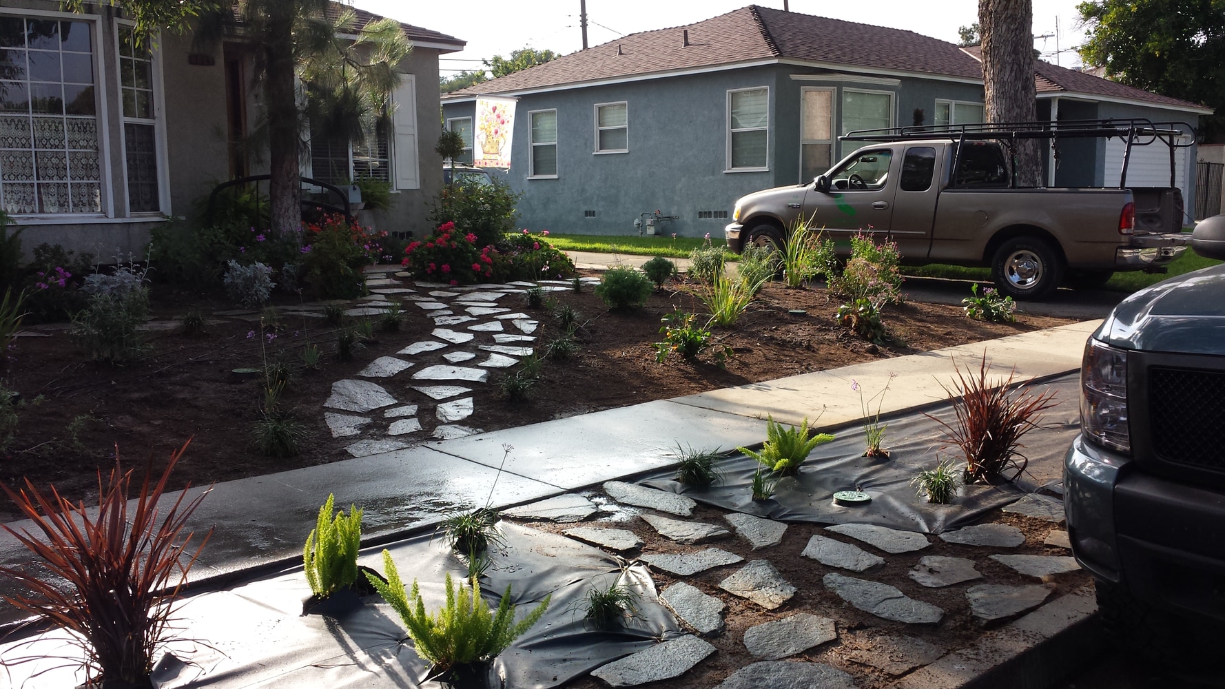 Photo(s) from Green Cali Landscape & Maintenance