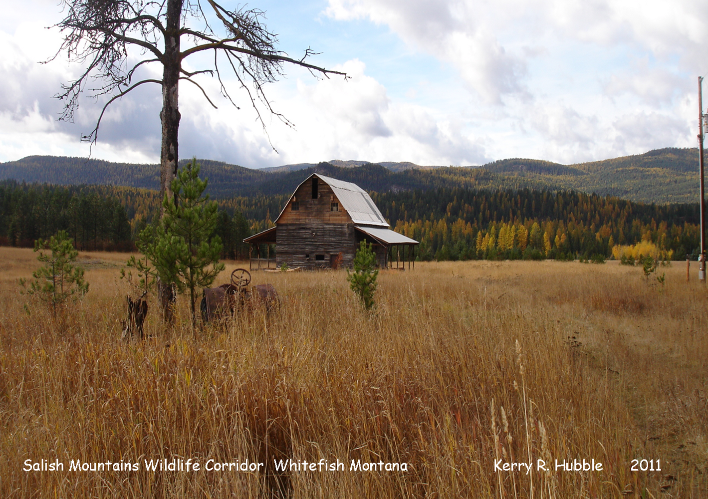 Wilderness Building Systems Project