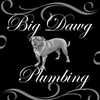 Big Dawg Plumbing Llc