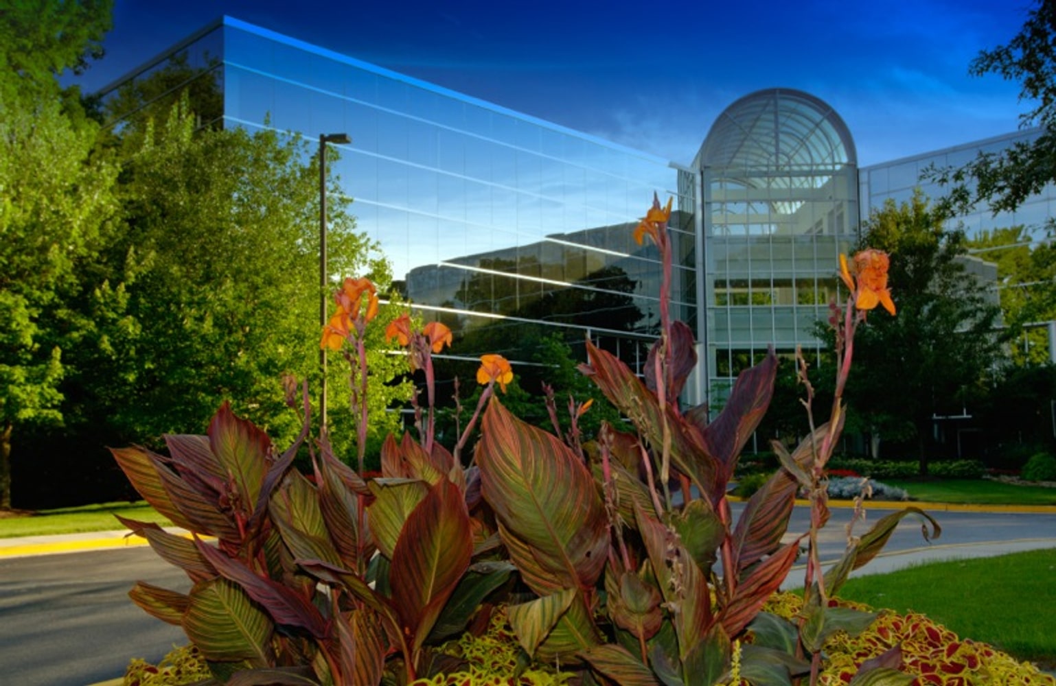 Photo(s) from New West Landscape Management Inc